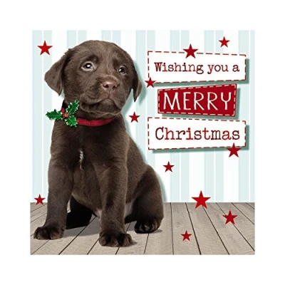 Image of Cute Black Lab Puppy Dog, Christmas Card Generic, Cards, For Her, Xmas Card, Generic Card,Dog Cards Him