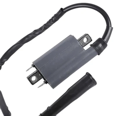 Image of Twowinds Ignition Coil XV 250cc 750cc 1000cc