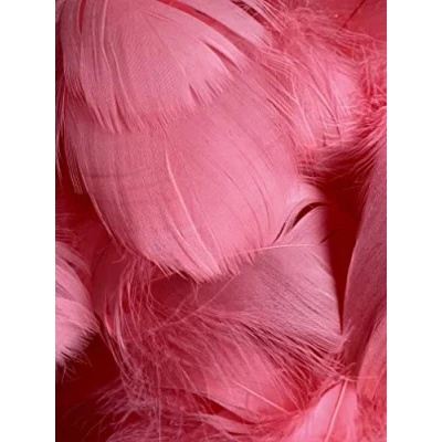 Image of Zebra Balloons Watermelon Feathers, 100 Pack