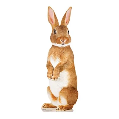 Image of STAR CUTOUTS SC1120 Cute Bunny Rabbit Cardboard Cutout Perfect for Animal Parties and Pets Fans Collectors 90cm Tall, Solid, Multicolour, Regular