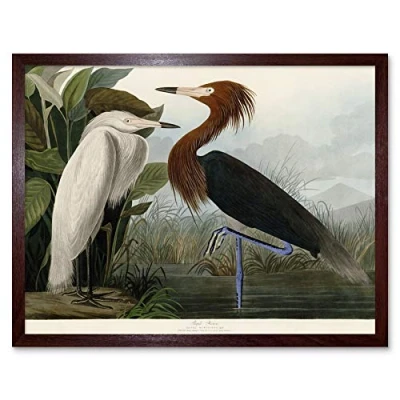 Image of Artery8 Audubon Birds Purple Heron Painting Art Print Framed Poster Wall Decor 12x16 inch