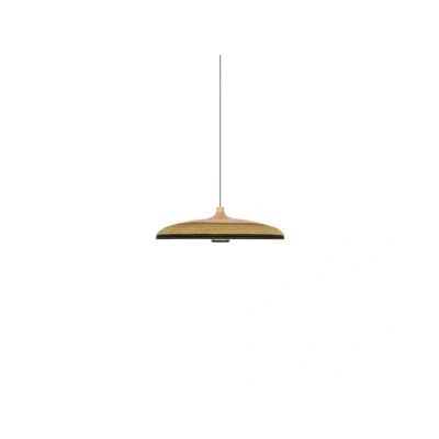 Image of Forestier Grass hanging light L, green