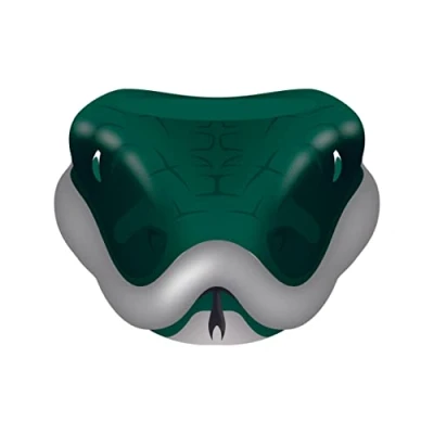 Image of Half Moon Bay Harry Potter (Slytherin) Plant Pot