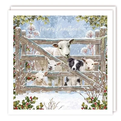 Image of Tracks Publishing Charity Christmas Cards Sheep, Lambs and Dog at Snowy Farm Gate with Foil Finish Eco Friendly Pack of 10