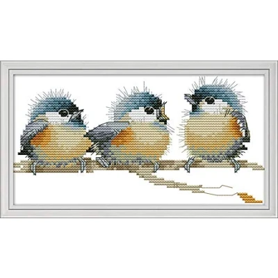 Image of Cross Stitch Kits, Three Birds Awesocrafts Easy Patterns Stitching Embroidery Kit Supplies Christmas Gifts, Stamped (Birds, Stamped)