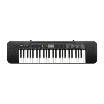 Image of Casio CTK 240AD 49 Full Size Keys Keyboard with AC Adapter, black