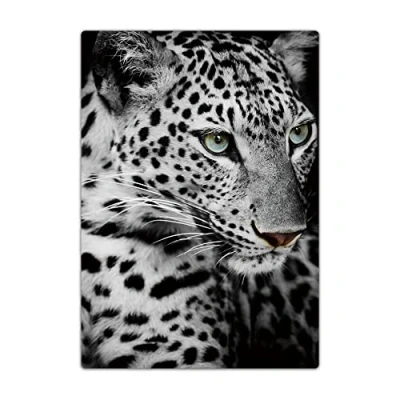 Image of Passport Holder Cover, PU Leather Travel Wallet Case Organiser for Passport, Business Cards, Credit Boarding Passes (Leopard)