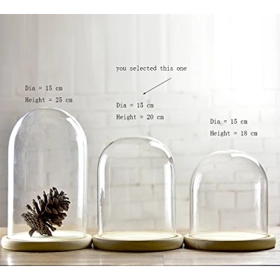 Image of Artlass Glass Cloche Bell Jar Dome With wooden Tray Diameter 15 cm (Medium)