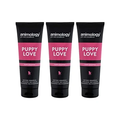 Image of Animology Puppy Love Shampoo For Healthy Well Developed Coat Easy Rinse Formula Balanced pH and Deep Cleaning Effect Sensitive Skin Built in Conditioner 250ml pack of 3
