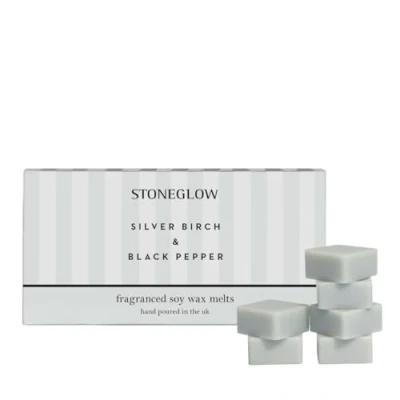 Image of Stoneglow Modern Classics Collection Silver Birch &amp; Black Pepper 192 grams Scented Wax Melts (Grey)