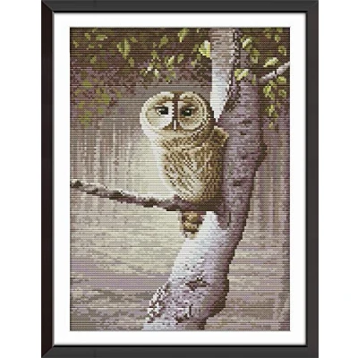 Image of Cross Stitch Kits, Owl Animals Awesocrafts Easy Patterns Stitching Embroidery Kit Supplies Christmas Gifts, Stamped (Owl, Stamped)