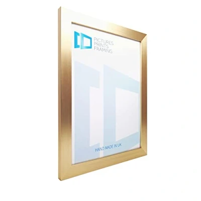 Image of Pictures Prints Framing Gold Photo/Picture Frame to fit image 15x17 inches with Perspex