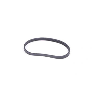 Image of Belt: Lawn Mower: QUALCAST Bosch 32: Elan, Concorde, Lawnraker lawnmower drive belt Alm: 32, Eclipse 320, Cylinder Mower ASM32/32F, AMR32F, ASM32Accu: Elan Concorde 32
