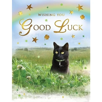 Image of Regal Publishing Wishing You Good Luck Card Black cat 8 x 6 inches