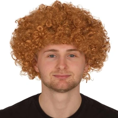Image of Afro Wig for Men Curly Hair Wigs Fancy Dress Adults Accessories Mens 80s 70s Outfits
