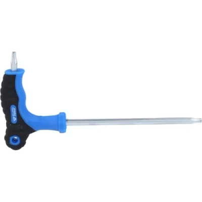 Image of BRILLIANT TOOLS BT041013 T Handle Torx® with Face Hole Allen Key T25 x 150 mm [Powered by KS Tools]