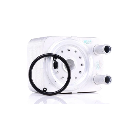 Image of 038117021B, 038117021C, 038117021D, 038117021E Oil Cooler NRF 31168 Water cooled with seal ring EASY FIT VOLKSWAGEN: Golf 5, Transporter Touareg II