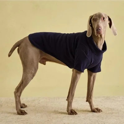 Image of Rosewood Joules Navy Fleece For Dogs, Large