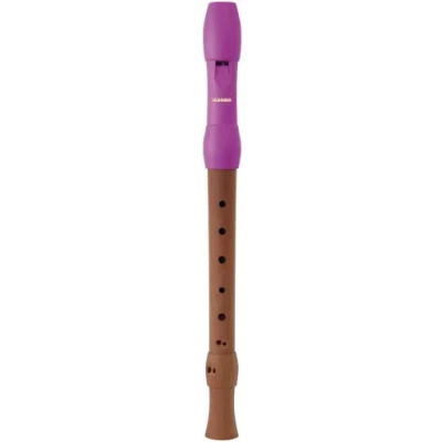 Image of HOHNER Alegra Line Recorder Pink Baroque 2 Piece