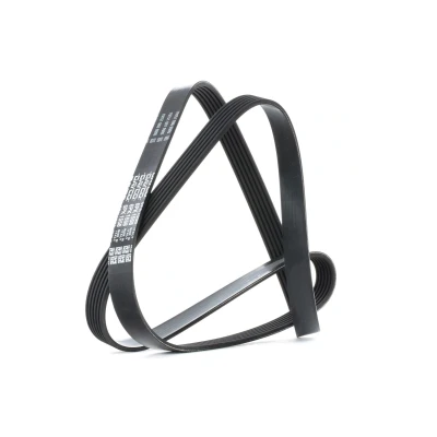 Image of 1126PK1570 V ribbed belt DAYCO 6PK1558 1558,0mm 6 BMW: 5 Saloon, Touring, 7, PEUGEOT: 206 Hatchback, Partner II Van, I Van