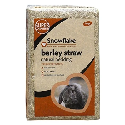 Image of Snowflake Barley Straw, Large