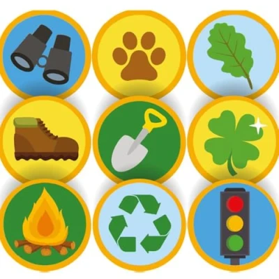 Image of 144 Wilderness Explorer Badge Stickers 30mm Glossy Reward Forest School, Scouts, Teachers
