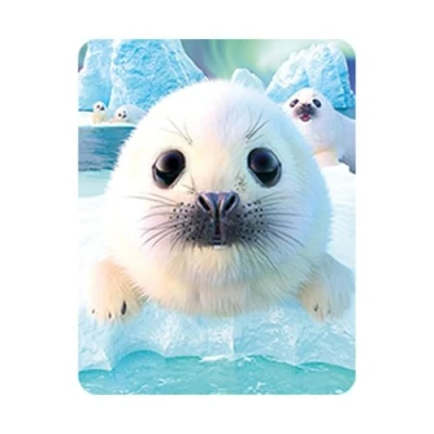 Image of 3D LiveLife Magnet Seal Pups from Deluxebase. Lenticular Ocean Fridge Magnet. Magnetic decor for kids and adults with artwork licensed renowned artist, David Penfound