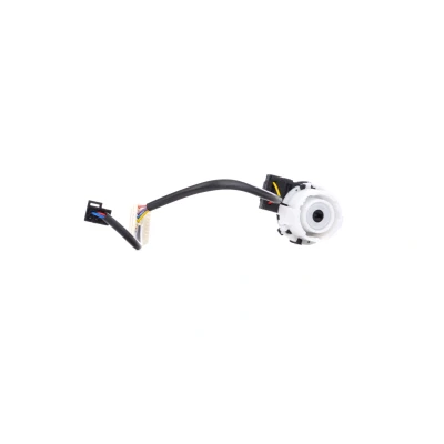 Image of 1K5953503EC9B9, 1K5953503EE9B9, 1K5953503ET9B9, 1K5953503FB9B9, 1K5953503FP9B9 Ignition Switch FEBI BILSTEIN 38638 AUDI: TT Roadster, A3 Sportback