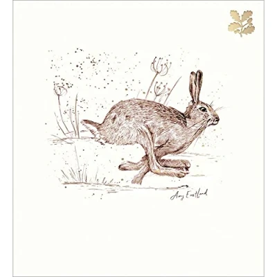 Image of Pack of 5 National Trust Festive Hare Charity Christmas Cards Foiled Xmas 493898