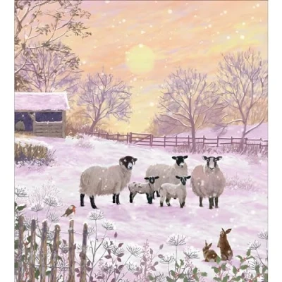 Image of Charity Christmas Cards Supporting Age UK, British Heart Foundation, Marie Curie and Mind Pack of 5 Sheep in the Morning Snow Made UK Eco Friendly