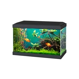Image of Ciano Aqua 20 Classic Aquarium Fish Tank Black