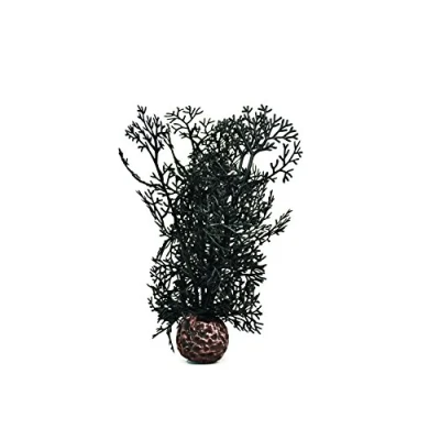 Image of biOrb Horn Coral S Black