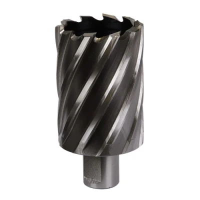 Image of Worksafe Rotabor Cutter HSS Ø45mm Cut Depth 50mm