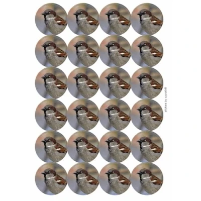 Image of Sparrow Circular Matt Paper Stickers A4 Sheet of 24 (Each Sticker is 45mm Diameter)