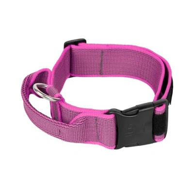 Image of Julius K9 Color &amp; Gray Collar with Handle, Safety Lock and Interchangeable Patch, 50 mm (49 70 cm), Pink