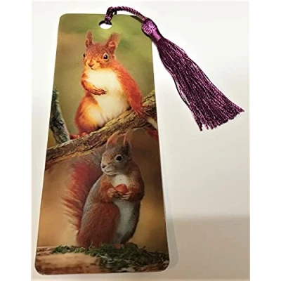 Image of sawley fine arts Scottish Squirrels Lenticular Bookmark Ruler