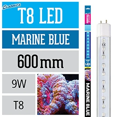Image of Arcadia Classica T8 Marine Blue LED Aquarium Lamp 9W Length 600mm / 24&quot;