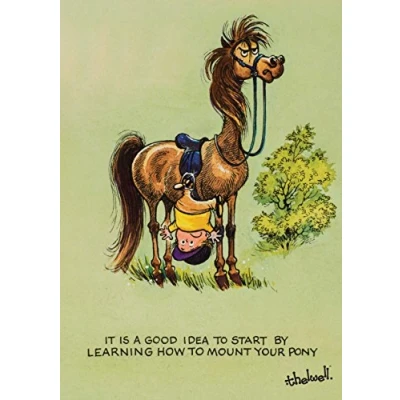 Image of Thelwell Horse or Pony Greeting Card Learning to Ride