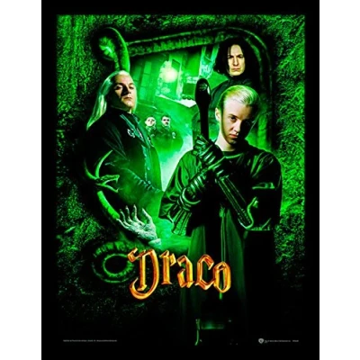 Image of Harry Potter &quot;Draco&quot; Framed Print, 30 x 40 cm