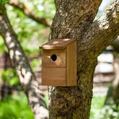 Image of Garden Mile Bird House Box Houses for 100% FSC Wood Environmentally Friendly I 21 x 13 11.5 cm