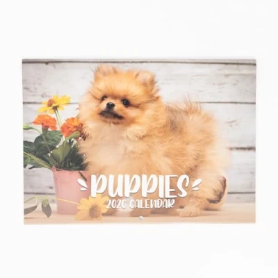 Image of 2025 A4 Puppies Calendar Month to View A3 When Open Hanging Wall Planner Family Home Office Organiser (Puppy)