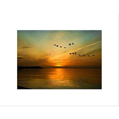 Image of Wee Blue Coo Geese Bird Formation Sunset Lake Art Picture Wall Print