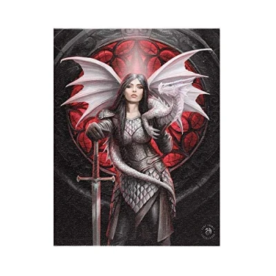 Image of Something Different AS_18538 Canvas Plaque Valour by Anne Stokes H19 W25cm x D1.4cm Pack of 1, multicolor