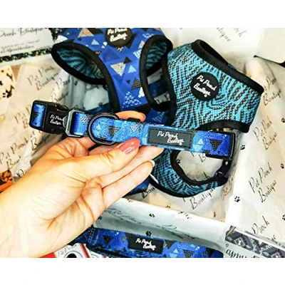 Image of Pet Pooch Boutique Blue Mountain Dog Collar, Small, 0.3 kg