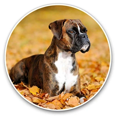 Image of 2 x Heart Stickers 10 cm Boxer Puppy Autumn Leaves Dog Fun Decals for Laptops,Tablets,Luggage,Scrap Booking,Fridges #16251