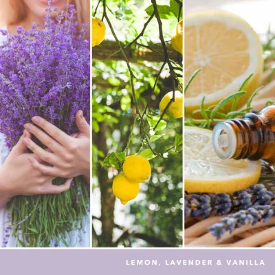 Image of Yankee Candle Lemon Lavender Small Jar