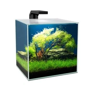 Image of Ciano Cube Glass Aquarium Includes LED Lights &amp; Filter (Cube 15 (14 Litres))