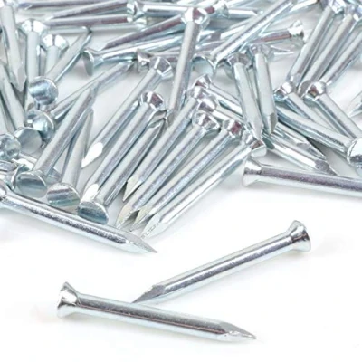 Image of 50x Flat Head Masonry Nails 2.5mm x 25mm Rust Resistant Silver Zinc Finish