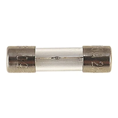 Image of 100 mA Slow Blow 32 mm Glass Fuse (10)