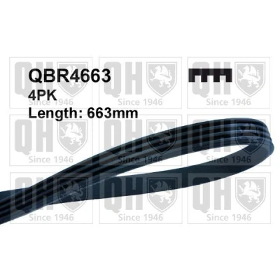 Image of 4PK660, 4PK661, 4PK662, 4PK663, 4PK664 V ribbed belt QUINTON HAZELL QBR4663 663mm 4 CHEVROLET: Matiz, FIAT: Punto II Hatchback, Doblo I Estate